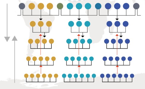 Esquema de Clasificación